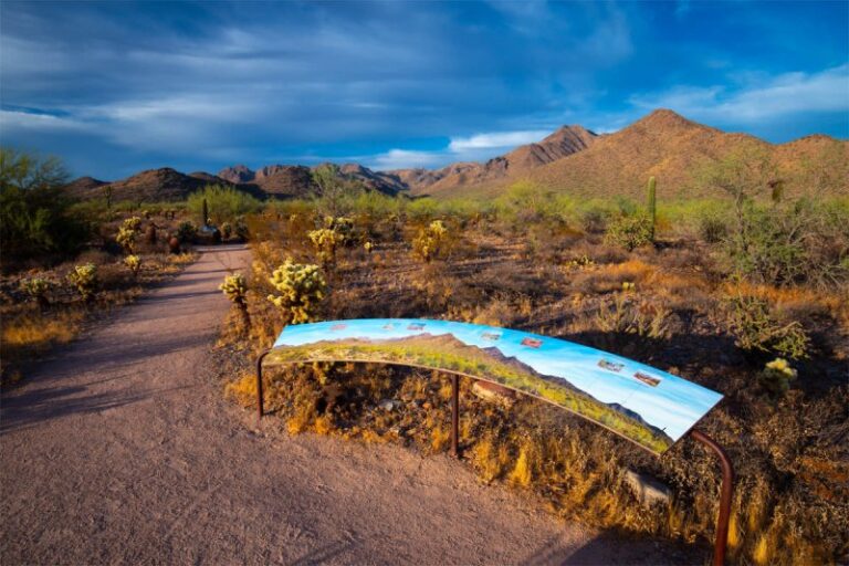 Bajada Nature Trail with an interpretive sign, desert cacti, and the McDowell Mountains in Scottsdale, Arizona