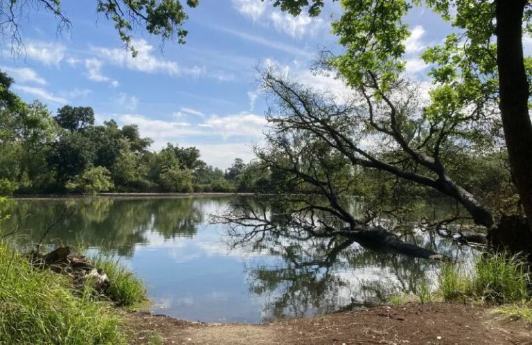 Trees reflected in the calm waters of Lodi Lake, with a shaded dirt shoreline in the foreground.