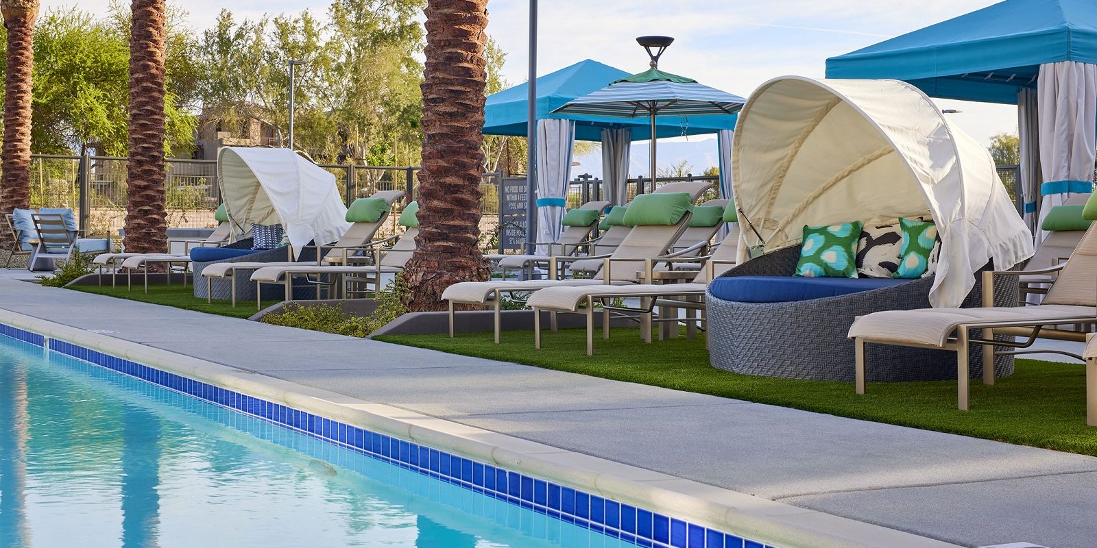 c. Aaron Locke  All Rights Reserved