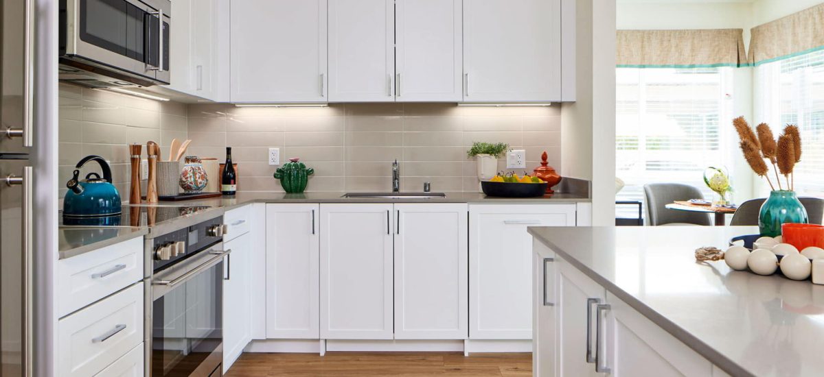 Gourmet Kitchens