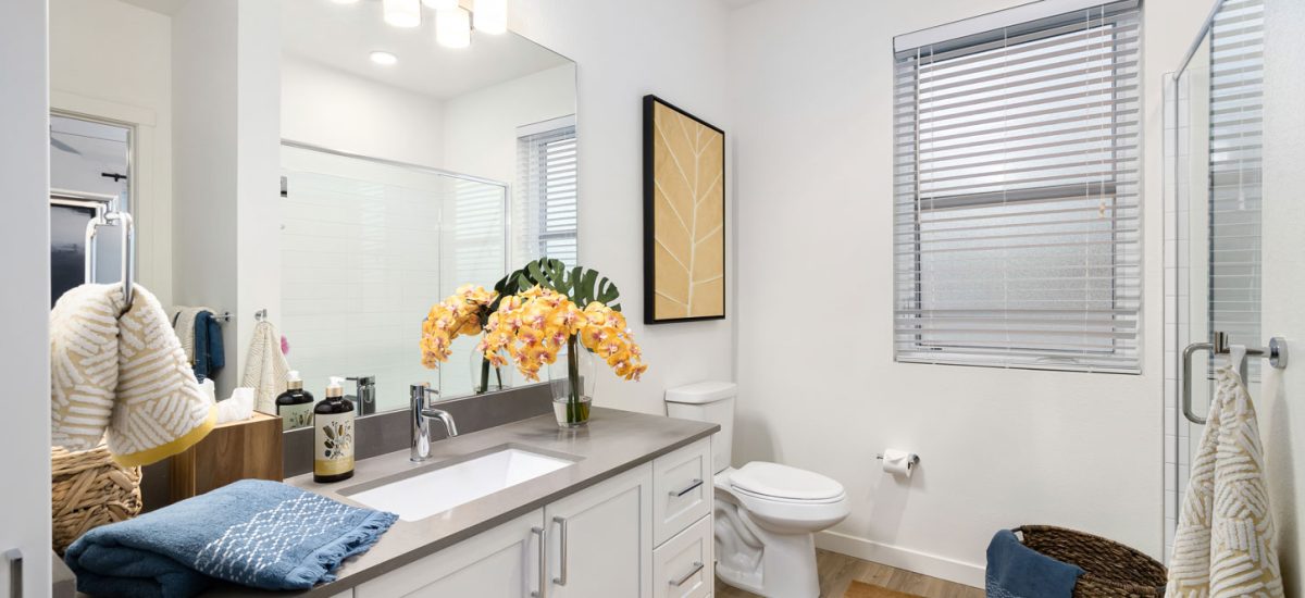 Modern Finishes