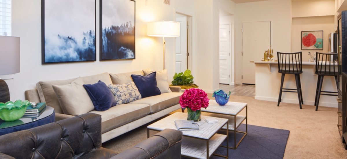 Open Floor Plans
