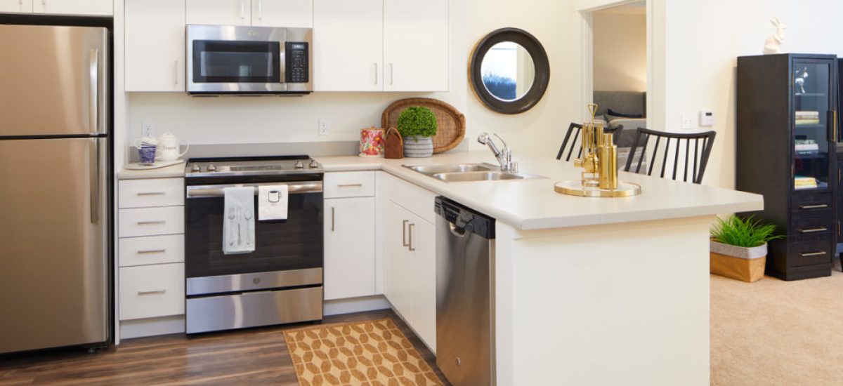 Gourmet Kitchens