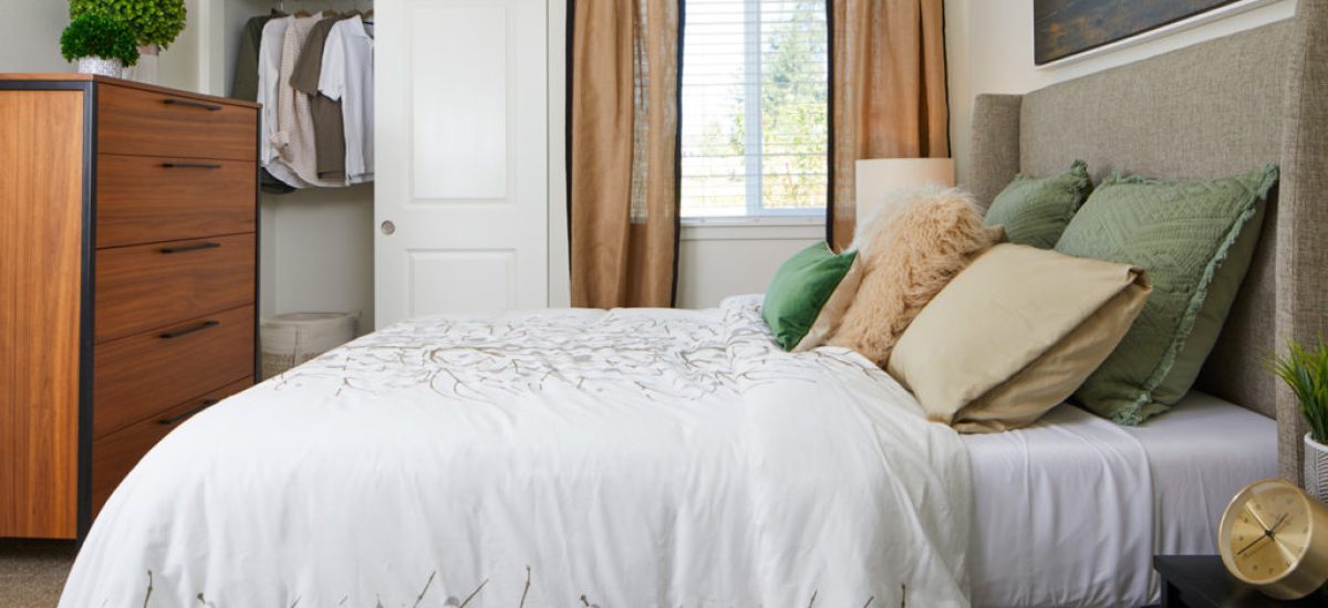 Plenty of Natural Light